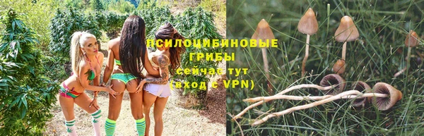 MDMA Липки